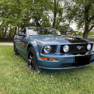 Meet your Posher, Albert